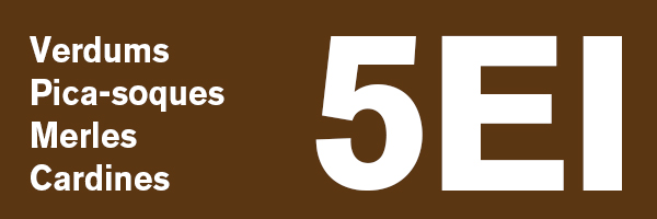 Ei5