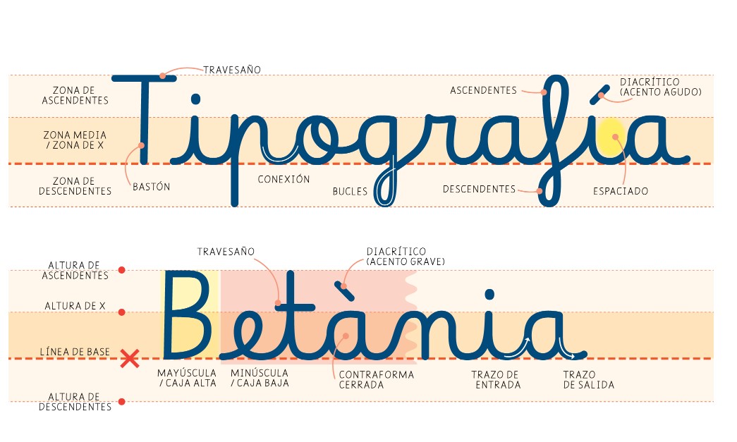 Click to enlarge image Captura de pantalla 2026-02-24 100703.jpg