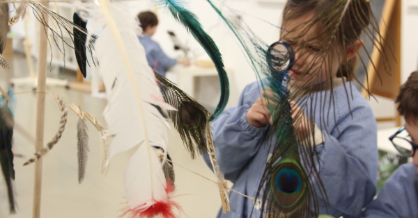 Arriba la Setmana de la Ci&egrave;ncia amb activitats a totes les etapes!