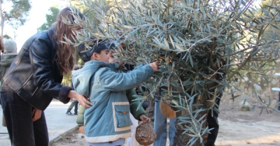 Celebrem el DENIP 2026