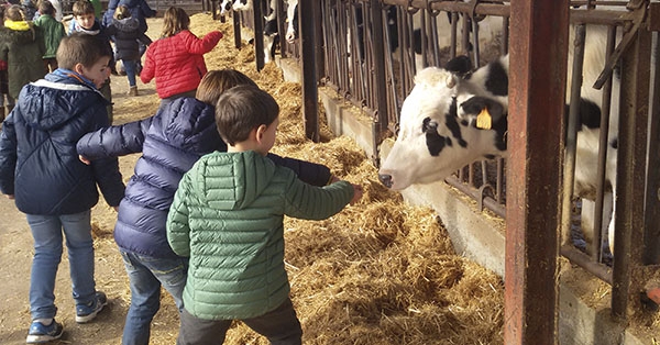 La setmana passada vam anar a Can Turró a fer mató