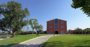 Colònies 3r de Primària