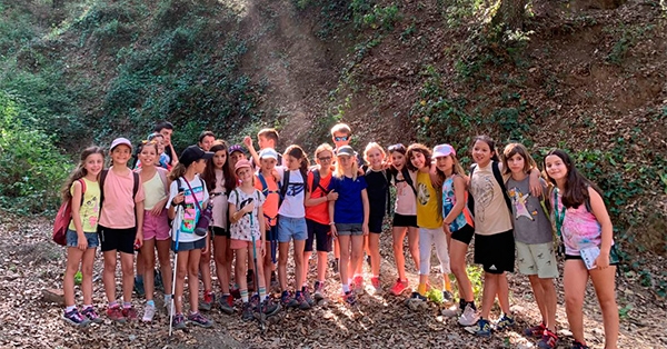 Fonts de Collserola
