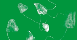 Parlem-ne nº 84 (primavera 2015)