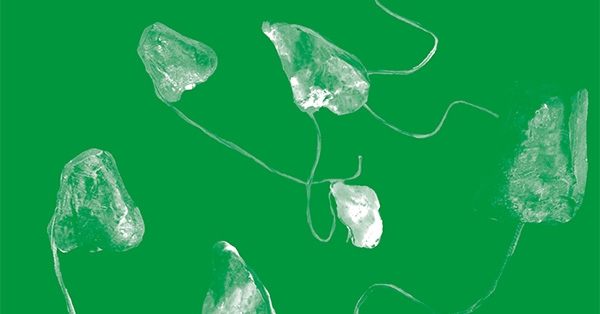 Parlem-ne nº 84 (primavera 2015)