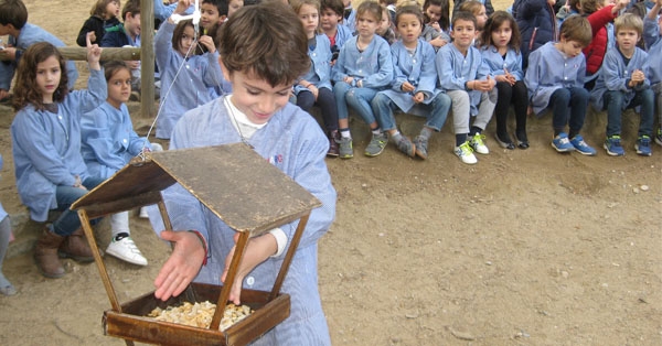 Compartim el pati amb la NATURA