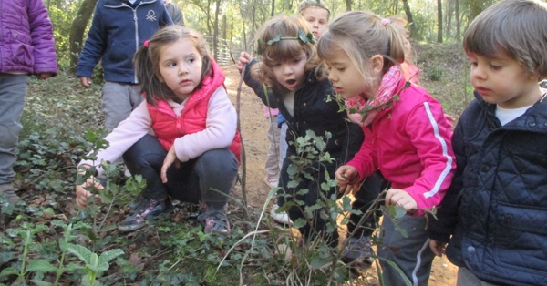 Ei3 Anem d&#039;excursió al bosc