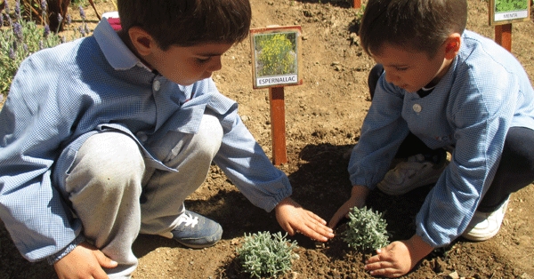 Celebrem la primavera a Educació Infantil