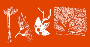 Parlem-ne nº 83 (tardor 2014)