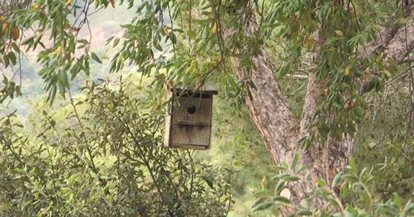 El projecte Enregistrant la natura comptarà amb la col·laboració econòmica de l’empresa ARCBCN