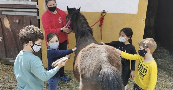 Aprenem sobre els animals